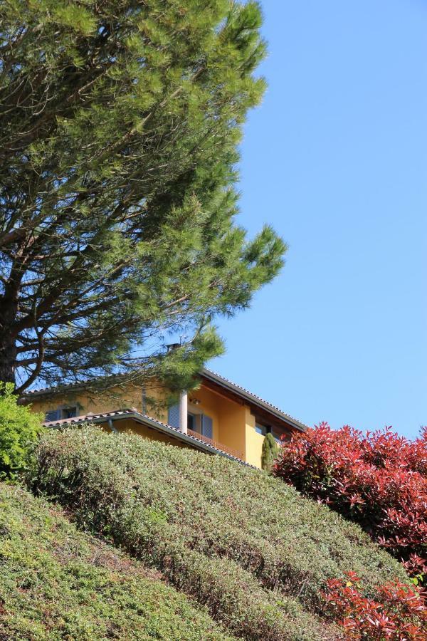 Le Vallon De Saint Andre Limonest Exterior foto